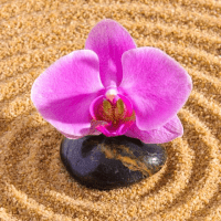 Avenirtel | voyant Natacha